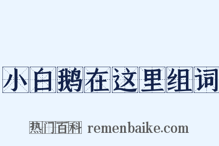 小白鹅在这里组词是什么意思的图片